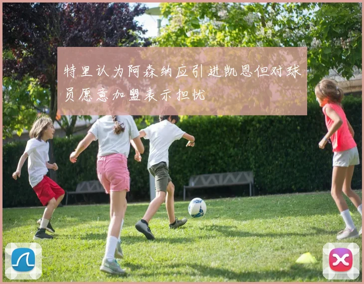特里认为阿森纳应引进凯恩但对球员愿意加盟表示担忧