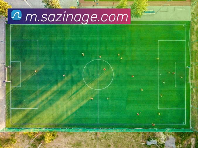 数据分析功能